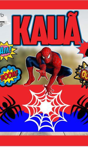 2 Arquivos - Studio - Topo Homem Aranha 6