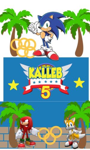 Arquivo de Corte Topo de Bolo Sonic 02