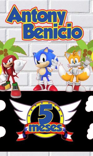 Arquivo de Corte Topo de Bolo Sonic Studio 003