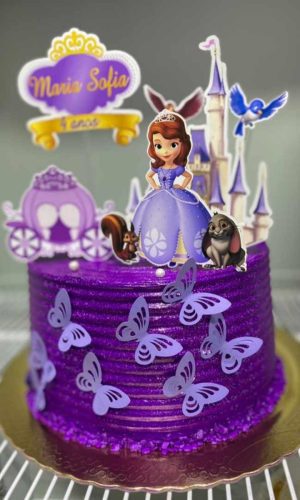 Arquivo Digital Topo Infantil Princesa Sofia