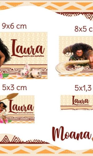Arquivo Etiqueta Escolar Moana STUDIO PDF PNG
