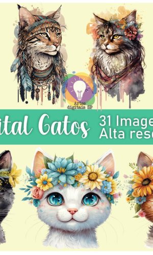 Kit Digital Gatos