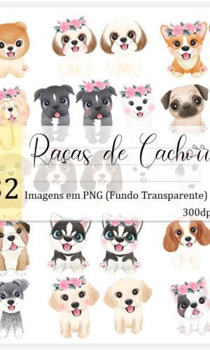Kit Digital - Raças de Cachorros