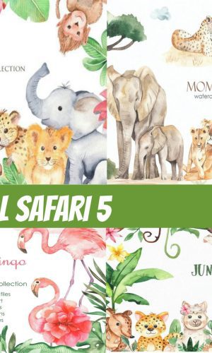 KIT DIGITAL SAFARI 5