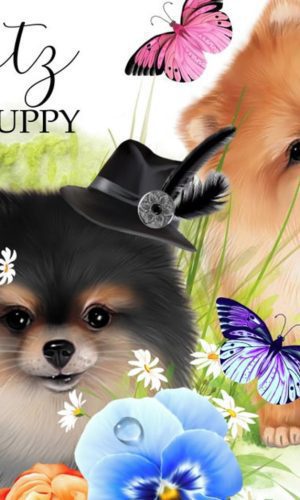 Kit Digital Spitz