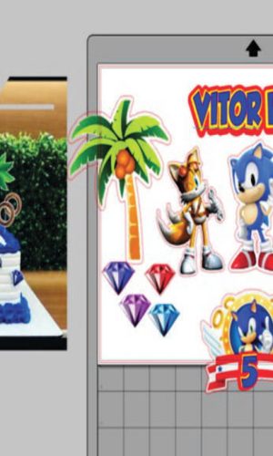 Topo de Bolo Sonic - Arquivo Digital