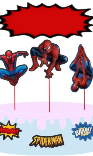 Topo Homem Aranha no Palito + 4 Arquivos a Sua Escolha