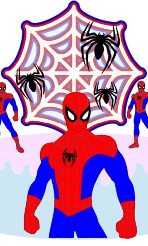 Topo Homem Aranha Teia e Aranhas +4 Arquivos a Sua Escolha