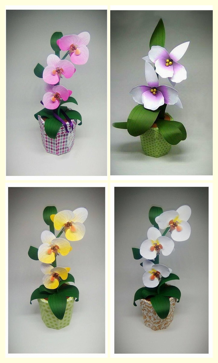 Arquivo de Corte Caixa Orquídea Studio - Imagem 4