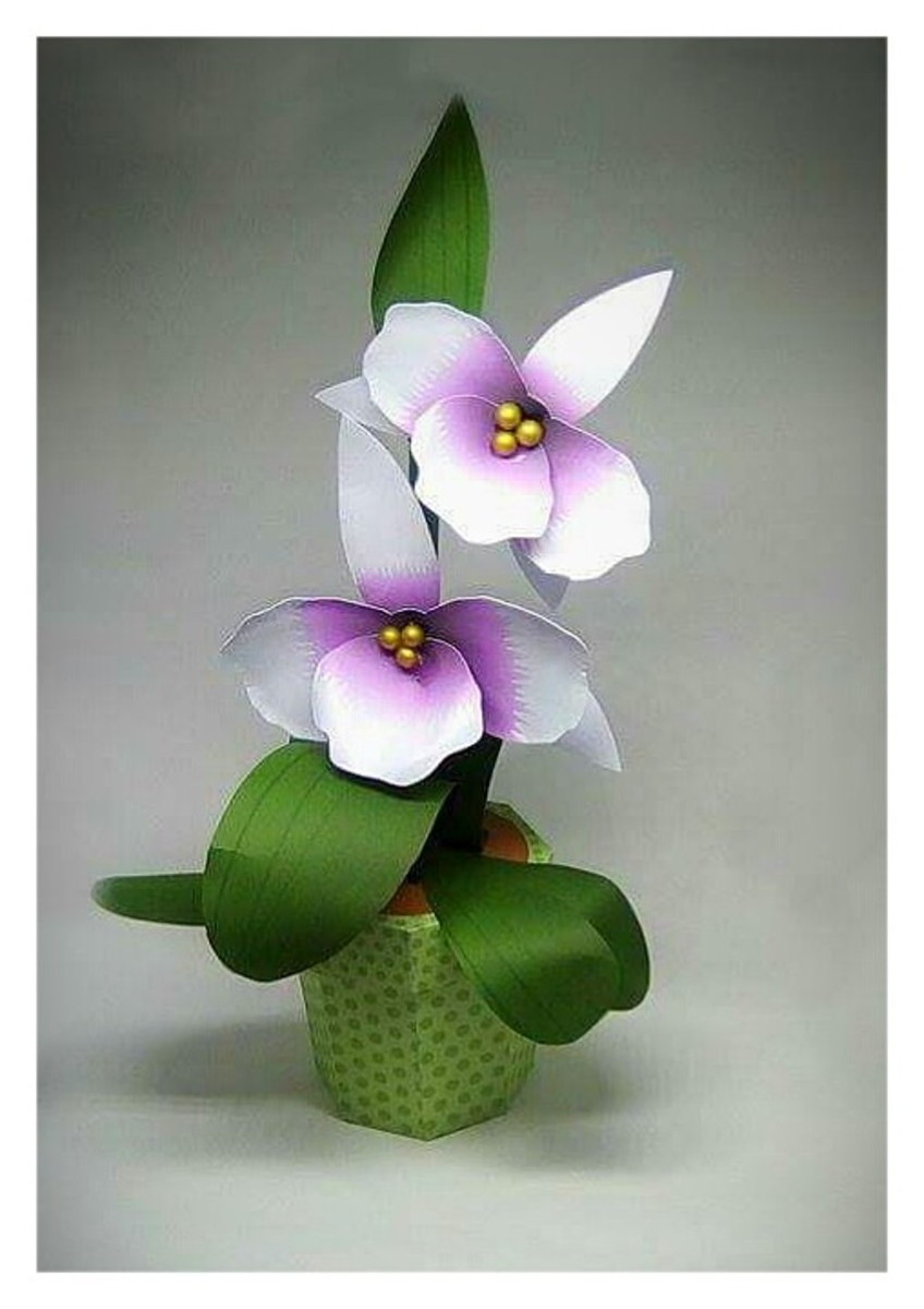 Arquivo de Corte Caixa Orquídea Studio - Imagem 5