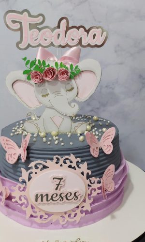 Kit com 5 arquivos de corte: 06-ELEFANTE TOPO DE BOLO CAMADA