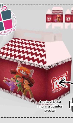 CAIXA MALETA RED A VIDA É UMA FESTA - ARQUIVO DIGITAL