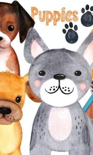 Kit Digital cachorro filhote