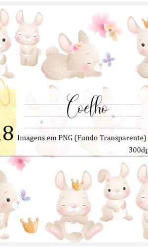 Kit Digital - Coelho