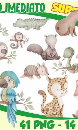 Kit Digital Fauna Brasileira