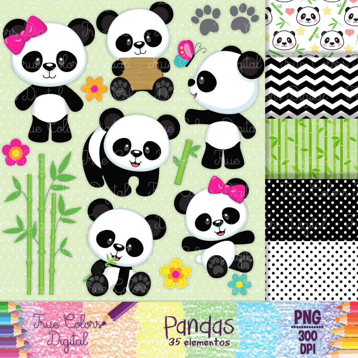 Kit Digital Pandas