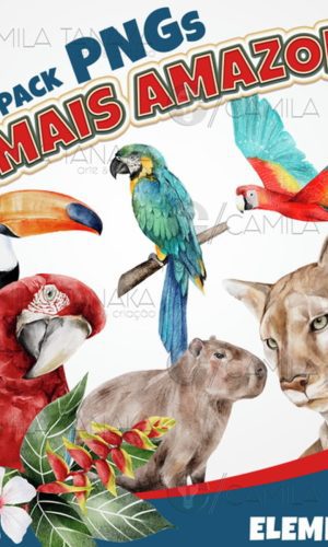 Kit Digital Png Animais Amazonia Aquarela (pague 1 Leve 3)