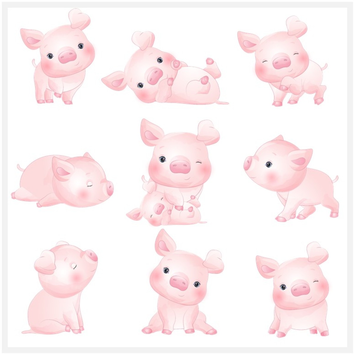 Kit Digital - Porco - Imagem 2