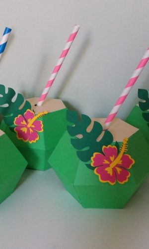 Arquivo de Corte Combo Caixa Abacaxi + Caixa Coco