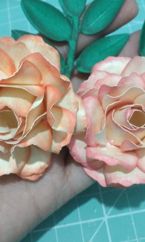 Arquivo de Corte Rosa Aurora