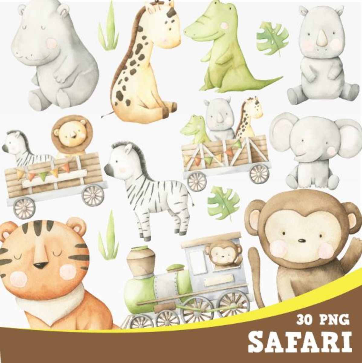 Kit Digital Safari 1469