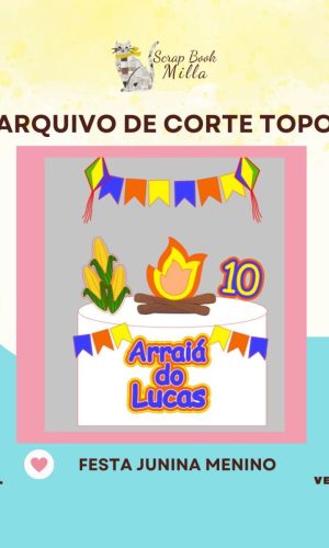 Topo Arraiá Menino Arquivo de Corte Silhouette Studio