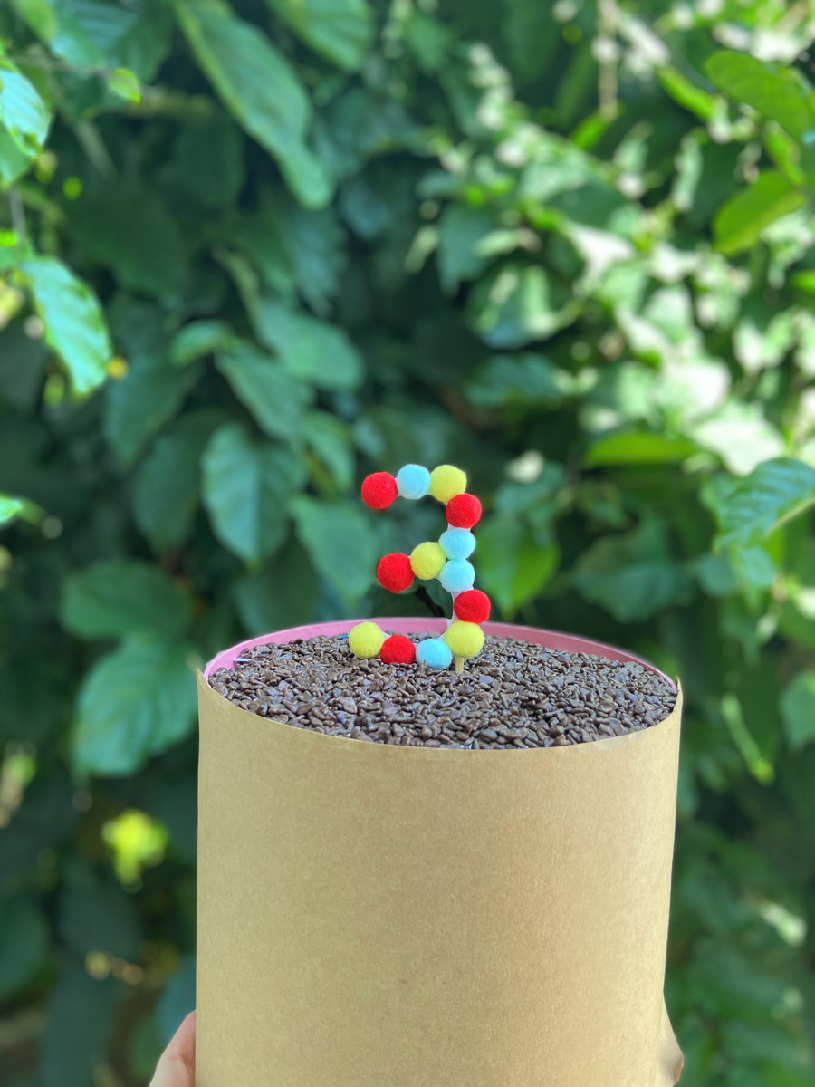 Topo de Bolo Número Pompom - Imagem 2