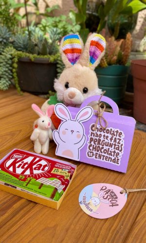 ARQUIVO CAIXA PARA KITKAT PASCOA COM MOLDE #13731