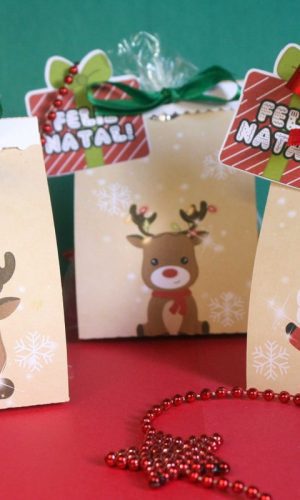 Arquivo de corte porta suspiro de natal