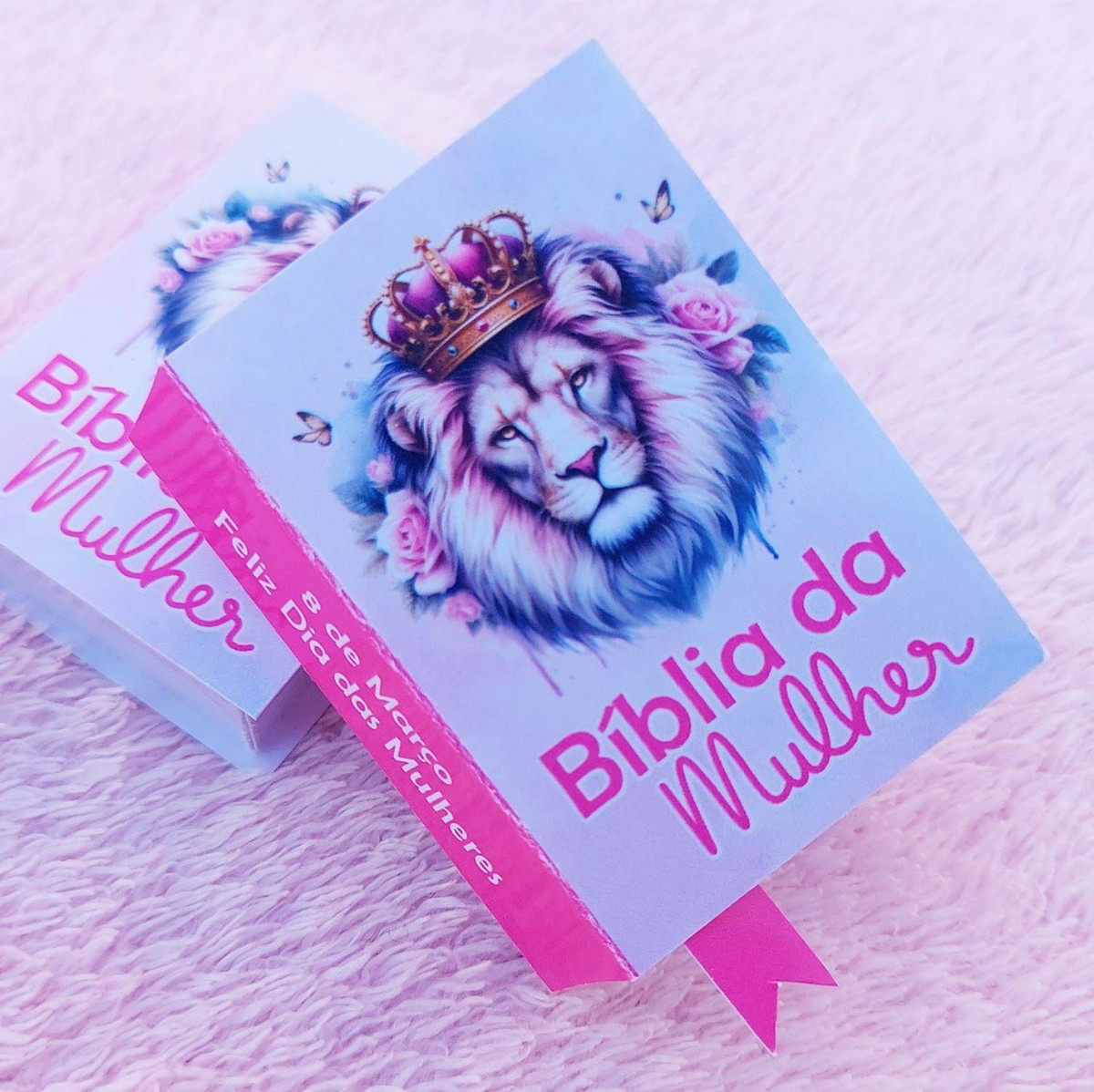 Arquivo de Corte Mimo Biblia da Mulher para 2 Bis #17001