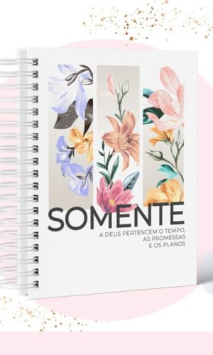 ARQUIVO DIGITAL CAPA E MIOLO AGENDA CRISTÃ 2021