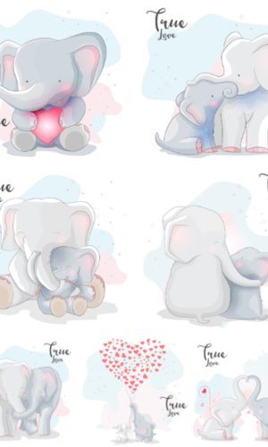 Arquivo Digital Elefante Dia das Mães