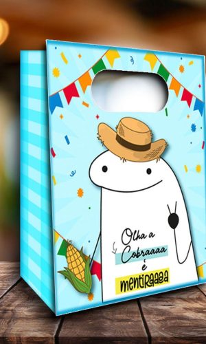 ARQUIVO SACOLA FLORK FESTA JUNINA SÃO JOÃO #14177