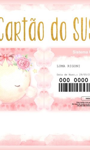 Cartão Sus Baby