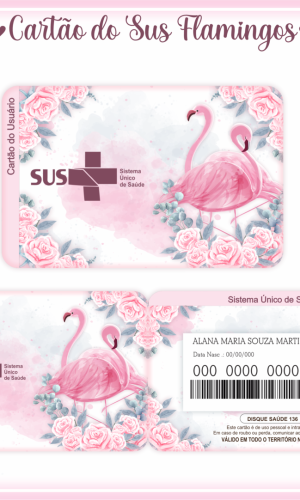 Cartão SUS Flamingos