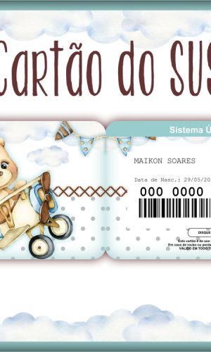 Cartão Sus Ursinho Aviador