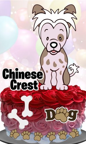 Topo de Bolo Cachorrinho (Chinese Crest)