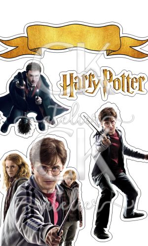 Topo de Bolo Harry potter