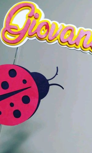 Topo de Bolo Joaninha