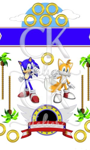 Topo de Bolo Sonic